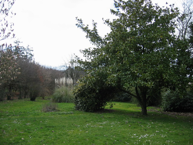 et toujours la verdure autour...