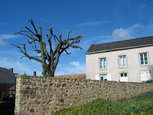 joli mur aussi, j'en connais qui aimeraient bien en avoir un comme a !