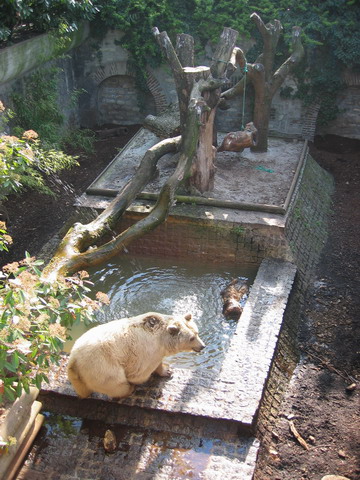 paques2004_66