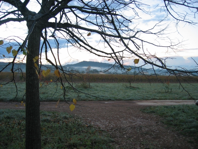 le matin, beau paysage par la fentre