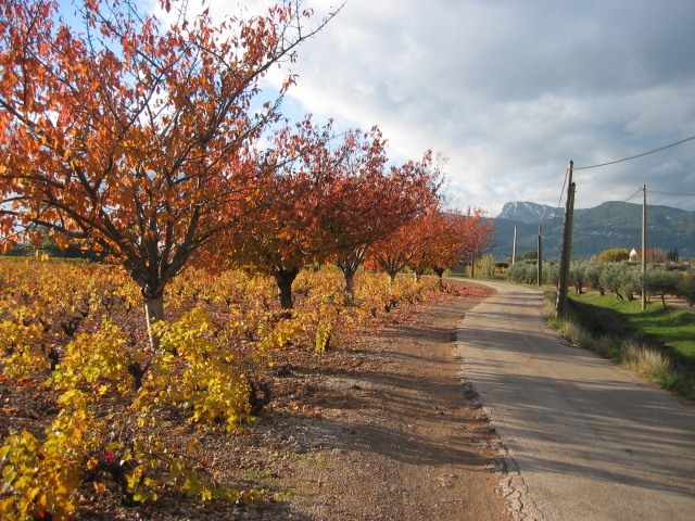 sud-decembre_32