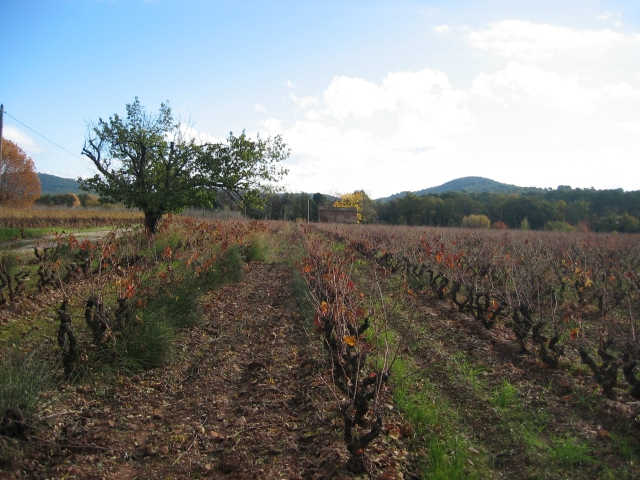 sud-decembre_34