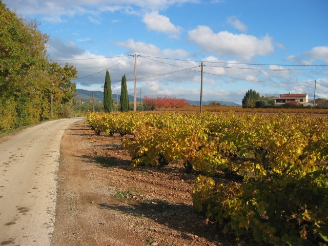 sud-decembre_35
