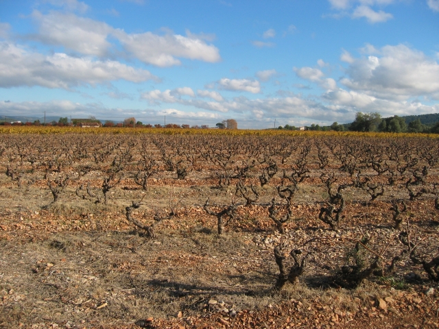 sud-decembre_39