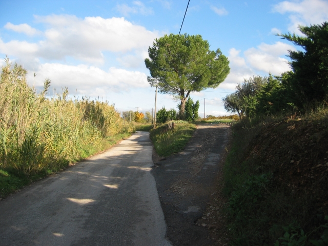 sud-decembre_41