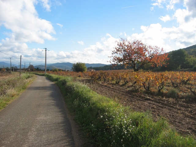 sud-decembre_45