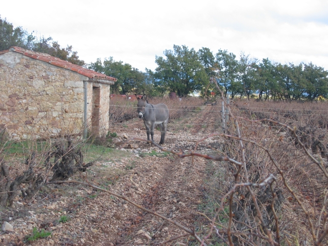 sud-decembre_46