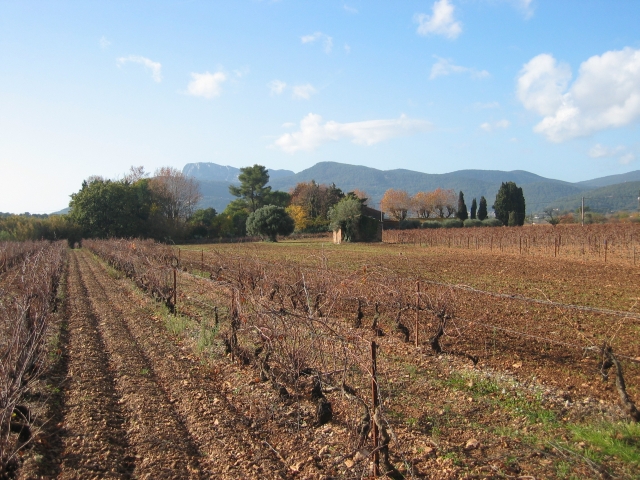 sud-decembre_80