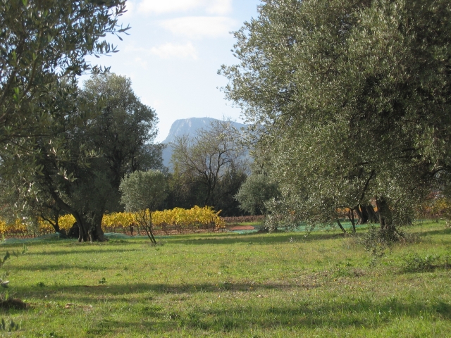 sud-decembre_81