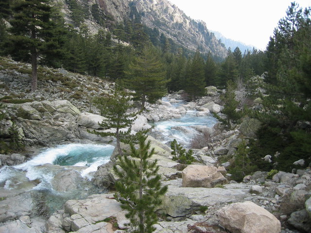 la Restonica, c'est cette rivire qui descend sur Corte