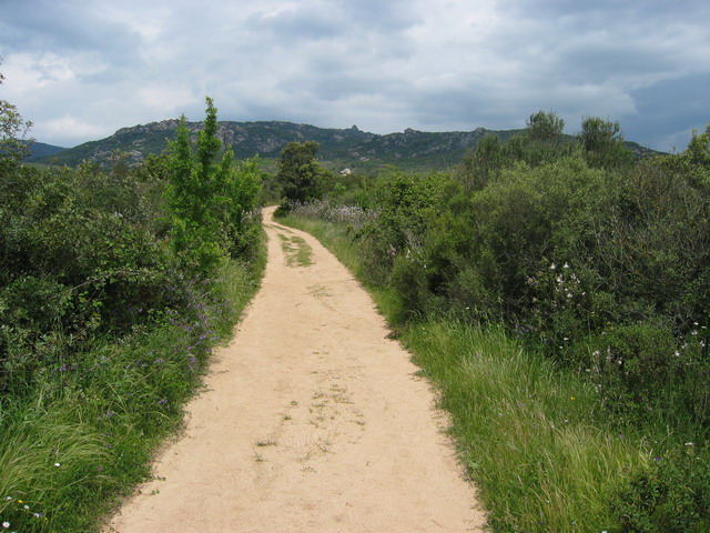 chemin qui nous mne vers les alignements de Paddaghiu