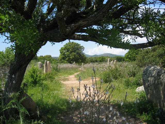 nous y voil... plus de 260 menhirs...