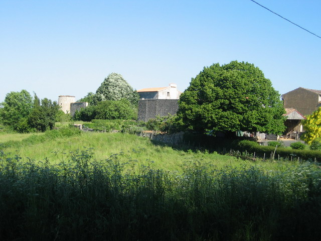 la campagne est jolie