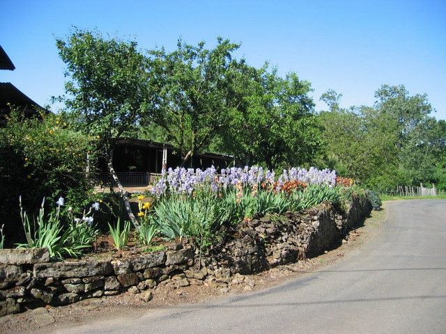 il y a des fleurs sur le bord de lroute