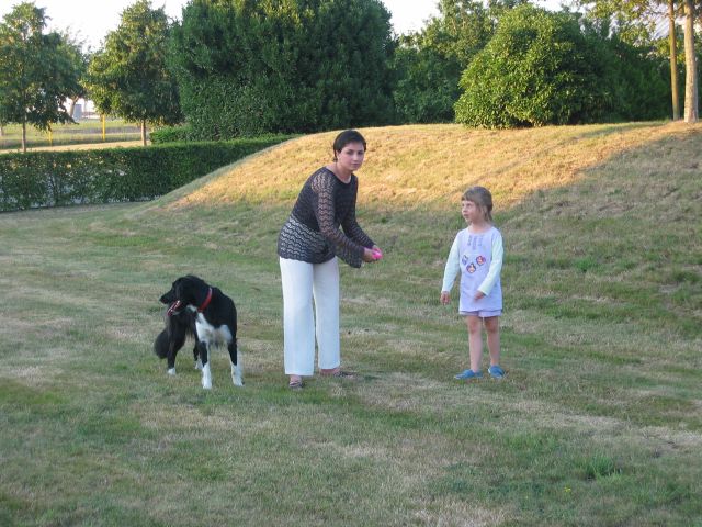 La partie de frisby commence